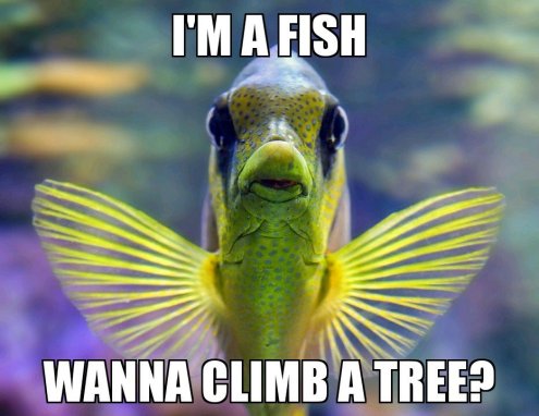if you judge a fish by its ability to climb a tree